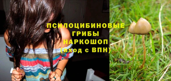кристаллы Белокуриха